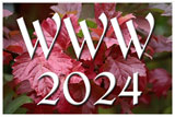 WWW 2024